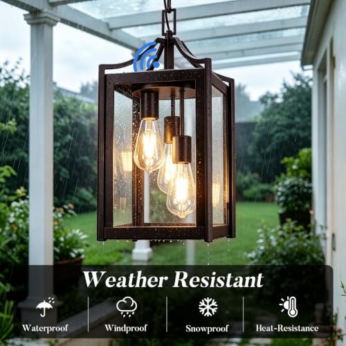 Outdoor Pendant Lights for Porch (Oil-Rubbed Bronze / Large-Clear Glass)