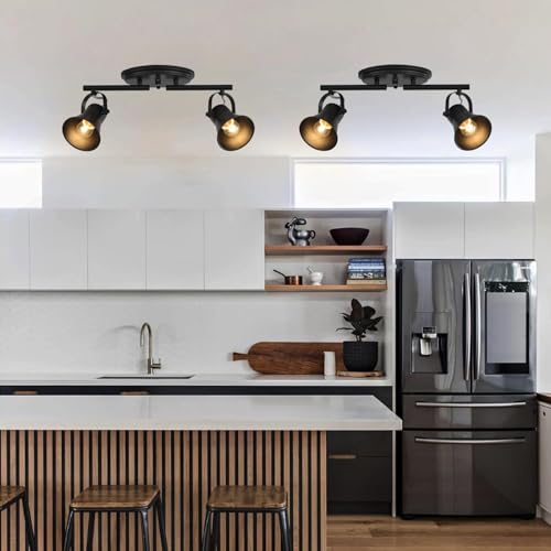 2 Light Track Lighting Kit (2-Light / Black)