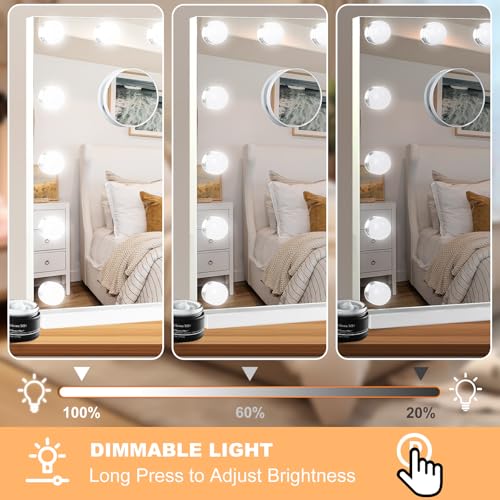 Vanity Mirror with Lights (White / 48"L x 30"W)
