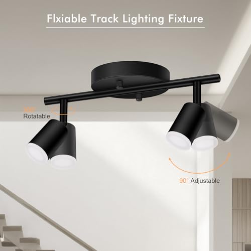 2 Light Track Lighting Fixtures Ceiling (2 light black)