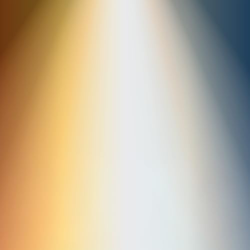 A19 LED Light Bulb