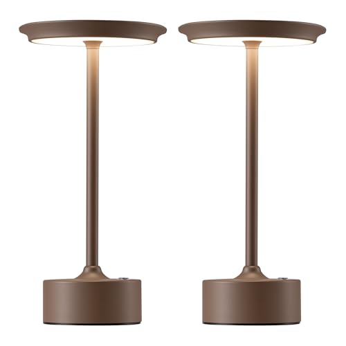 Rechargeable Table Lamps Set of 2