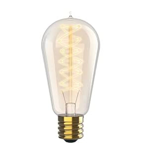 Vintage Incandescent Edison Light Bulbs 60W