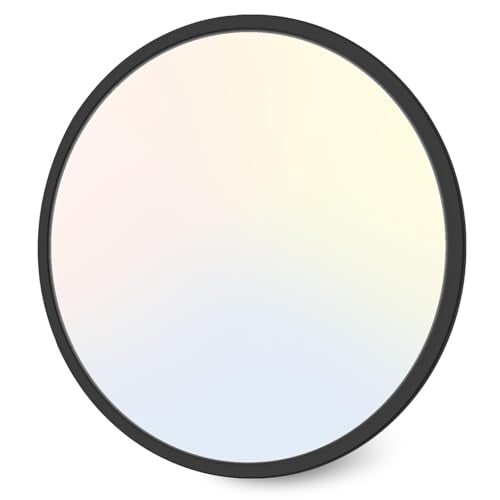 LED Ceiling Light