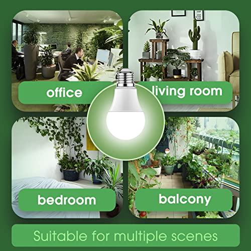 Grow Light Bulbs (White)