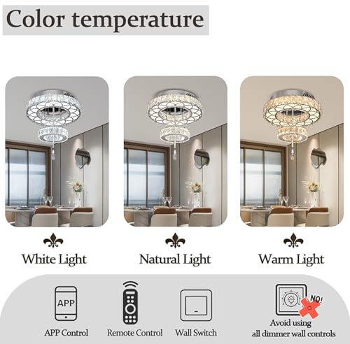 Dia 12" Crystal Mini Chandelier Crystal Silver Ceiling Light Fixtures LED Flush Mount Ceiling Light for Living Room Bedrooms Dining Room Dimmable 2700k 4500k 6000k (Silver / W:12inches)