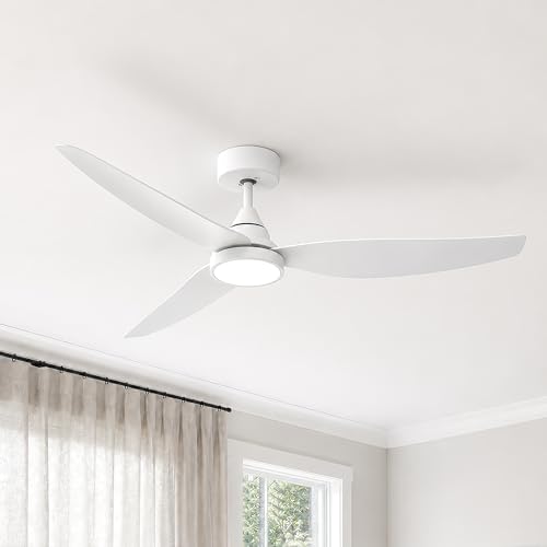 Ceiling Fan with Light