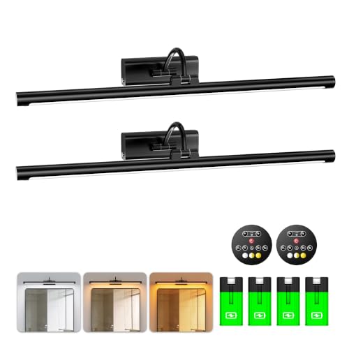 Modern Bathroom Vanity Light 24 inch Black