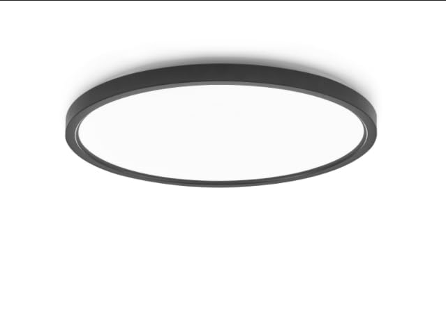 Flush Mount Ceiling Light