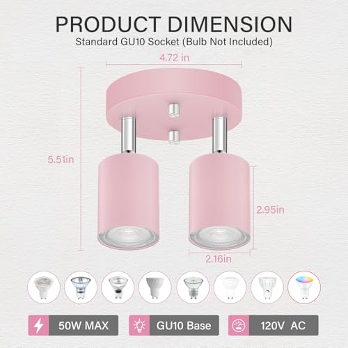 LED 2 Light Track Lighting Kit (2 Light-Pink)