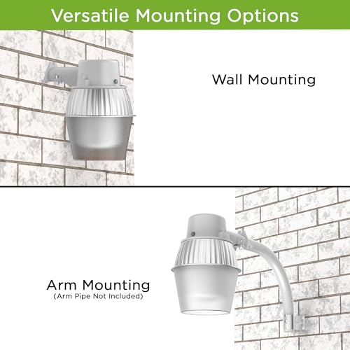 LED Area Light with 29W LED Bulb