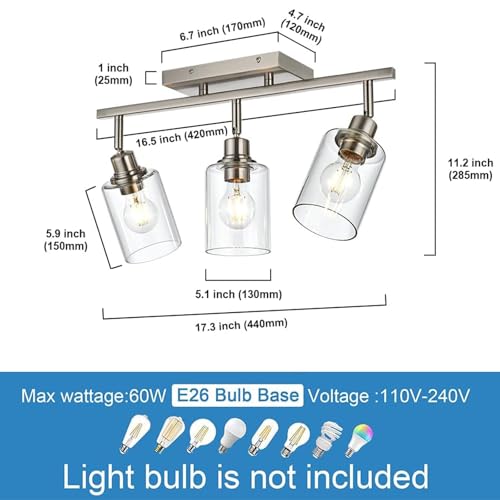 3 Light Track Lighting Fixtures Ceiling (Brushed Nickel / 3 Lights)
