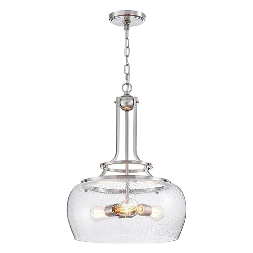 Rustic Farmhouse Round Globe Drum Shade Chandelier Pendant Light