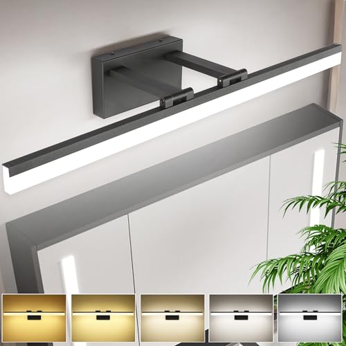 8778 Vanity Light