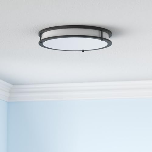 LED 16" Round Flush Mount Lighting (Black)