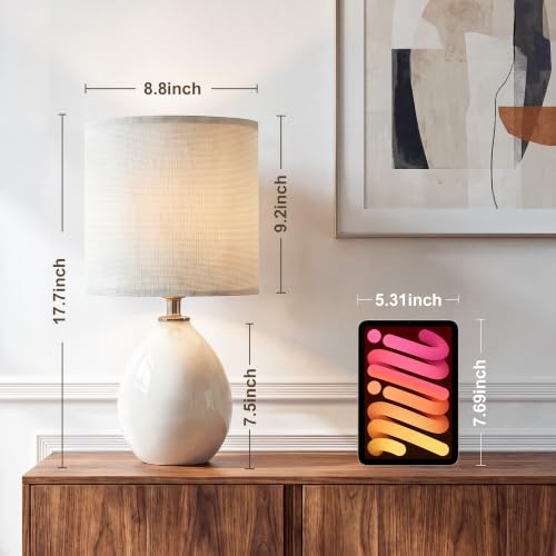 17.7" Ceramic Table Lamps Set of 2 for Living Room Bedroom
