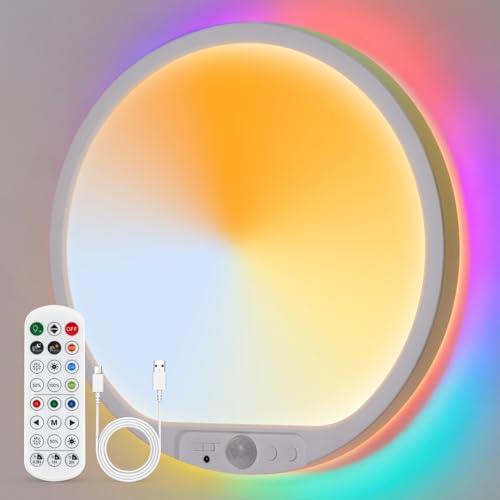 Battery Operated Ceiling Light with Remote