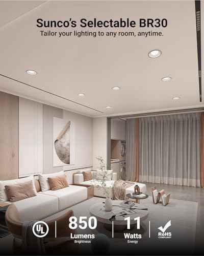 Sunco 12 Pack BR30 LED Bulb Flood Light (12 Count (Pack of 1))