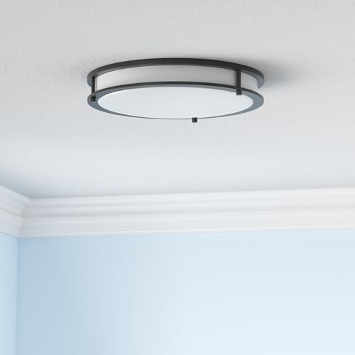 LED 16" Round Flush Mount Lighting (Black)