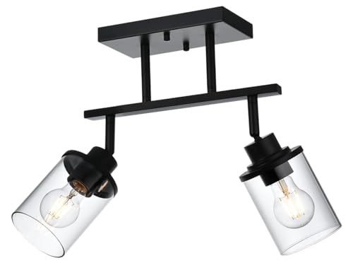2 Light Track Lighting Kit (Black / 2-Light)