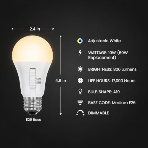 A19 LED Light Bulb (White + Dimmable / 10 Count (Pack of 1))
