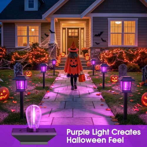 Solar Lights Outdoor (Purple Light)