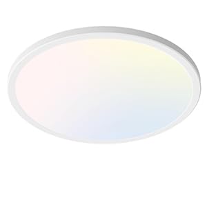 Dimmable LED Flush Mount Ceiling Light Fixture with Remote Control