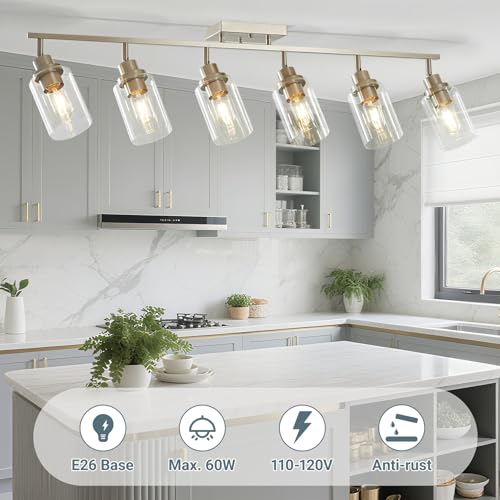 6 Light Brushed Nickel Track Lighting Kit with Clear Glass (Brushed Nickel / 6-Light)