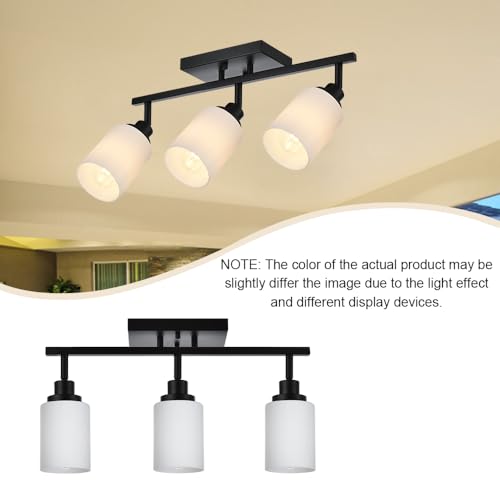 3 Lights Track Lighting Kit (Black / 3-Lights)