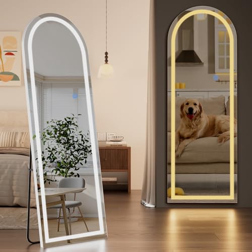 LED Arched Full Length Mirror (Standing Mirror-arched / 65"L x 24"W)