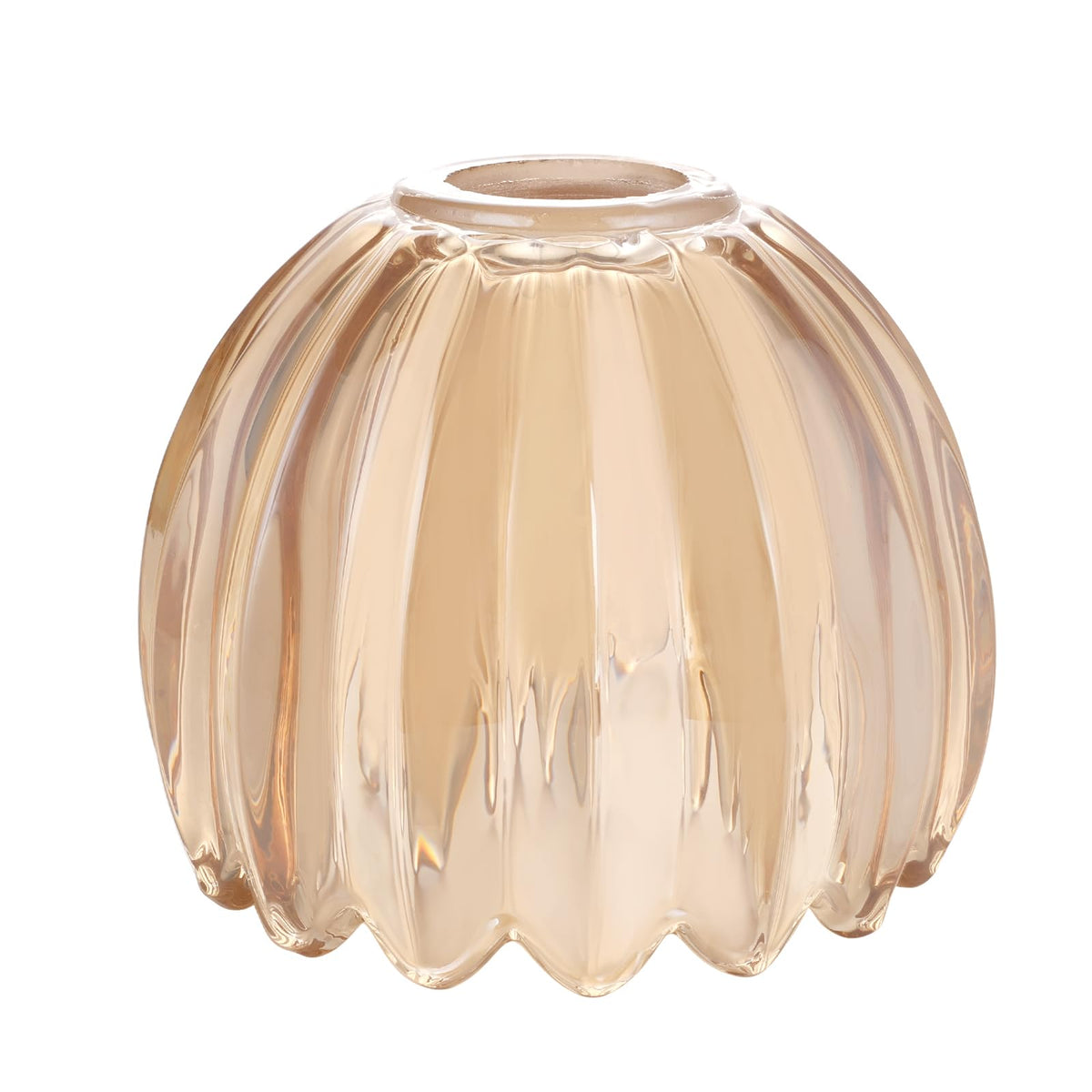 Tulip Lamp Shades Replacement (Amber)