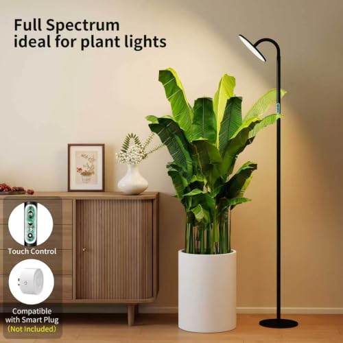 60W Torchiere Lamp (Touch Control)