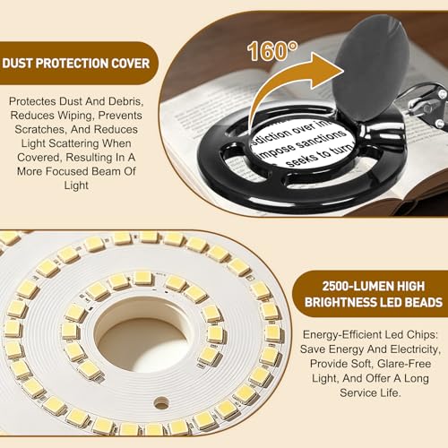 Facial 10X Magnifying Lamp for Esthetician