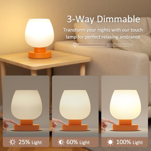 Small Touch Table Lamp for Nightstand (Orange)