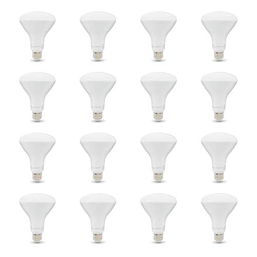 BR30 LED Light Bulb (Daylight / 16 Count (Pack of 1) / 65W Equivalent)