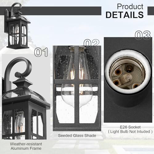 Outdoor Wall Lights (Black-Seeded Glass / Medium)