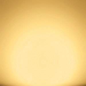 LED Light Bulb