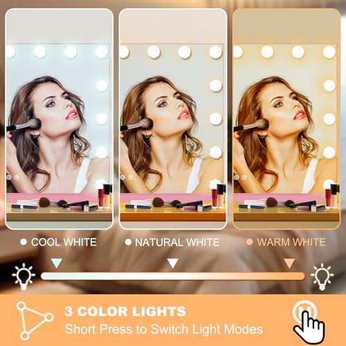 Vanity Mirror with Lights (Pink / 23"L x 18"W)