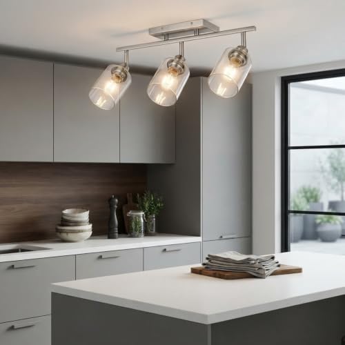 3 Light Track Lighting Fixtures Ceiling (Brushed Nickel / 3 Lights)