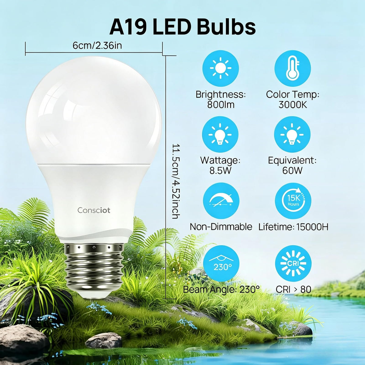 A19 LED Light Bulb (60w-warm White / 5 Pack)