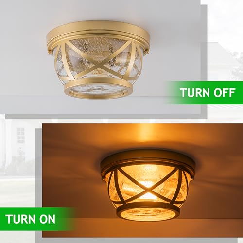 Flush Mount Ceiling Light Fixture Gold (Gold)