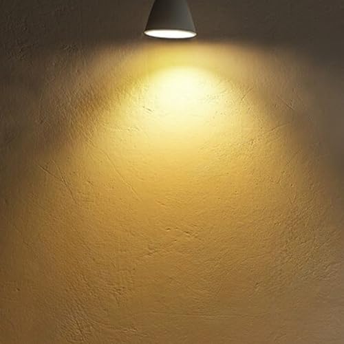 A19 LED Light Bulbs