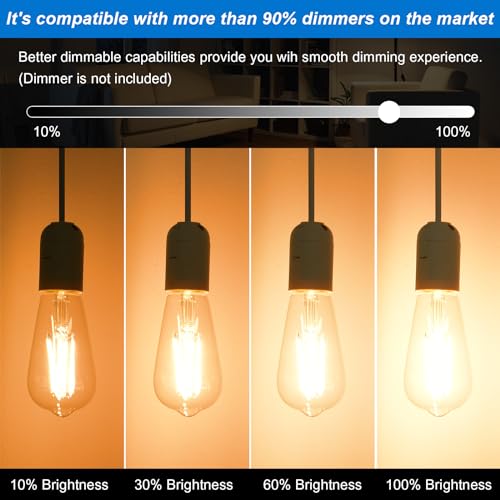 Vintage LED Edison Bulb (St58-clear Glass 2700k / 6 Count (Pack of 1))
