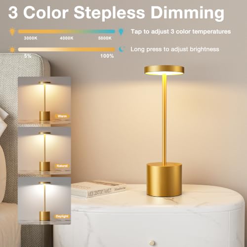 Cordless Rechargeable Table Lamp (Gold / 2 Pack)