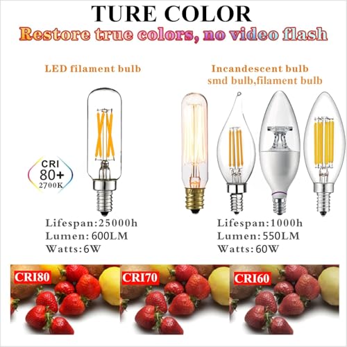 E12 T6 Candelabra Light Bulbs 60 Watt (Warm White 2700k 6w)