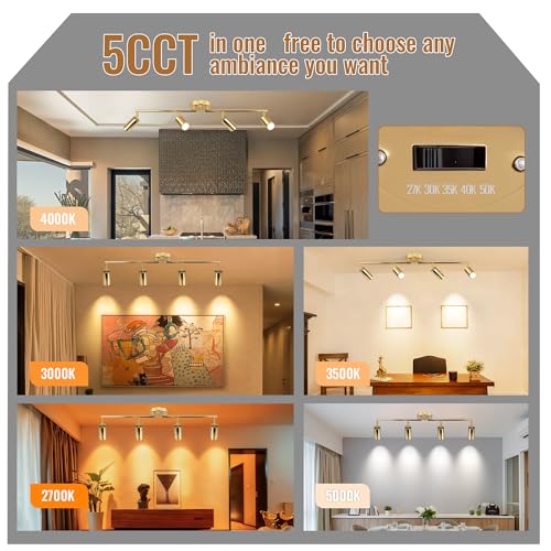 LED Track Lighting Kit 48W Track Light (Gold)