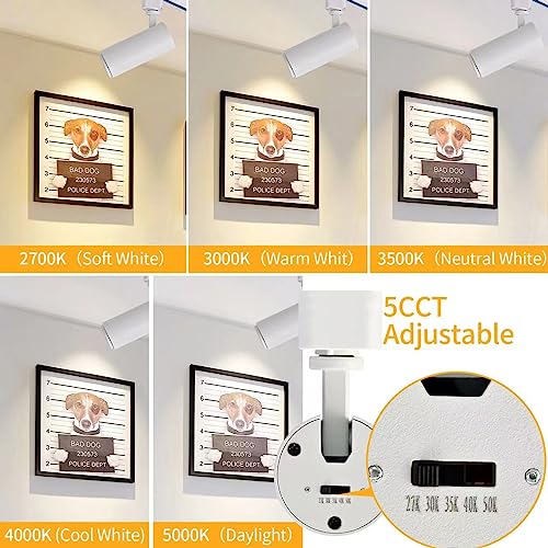Track Lighting Heads 12W H (White - 4 Pack)