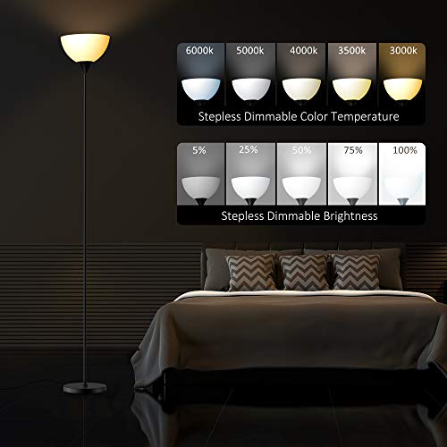 RGB Floor Lamp (Matte Black RGB)
