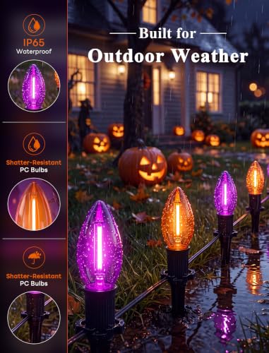 10 Pack Halloween Pathway Lights Outdoor (Orange, Purple)