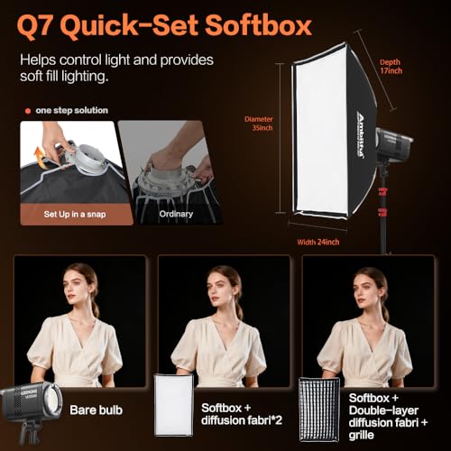 LE200Bi Godox Light Kit (Black)